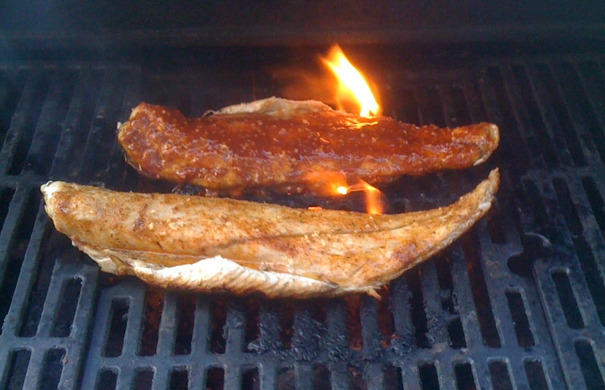 Redfish on the half shell on the grill.