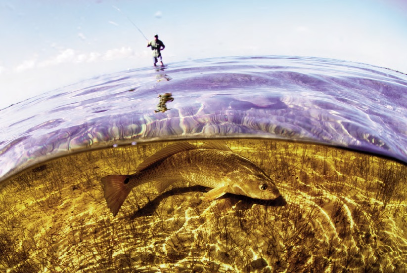 Angler and redfish, image by Tosh Brown in the April issue of Texas Parks and Wildlife magazine.