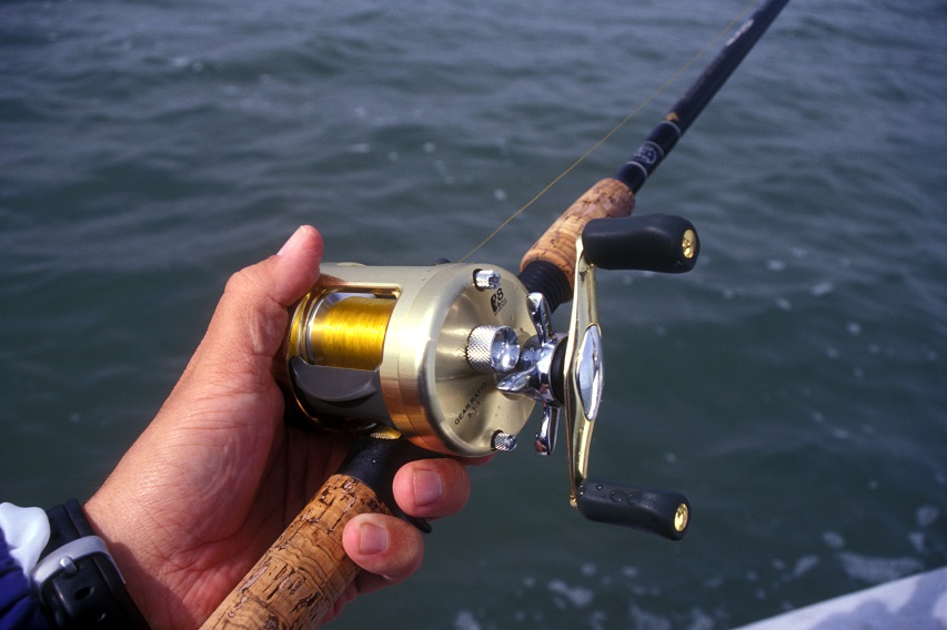 Rod and reel, image by Bryan Frazier