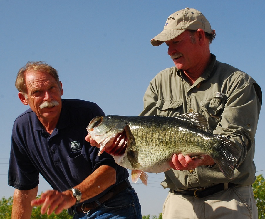 David Campbell,  Freshwater Fishing Hall of Fame inductee with Angler Faron McCain bringing in ShareLunker 523.