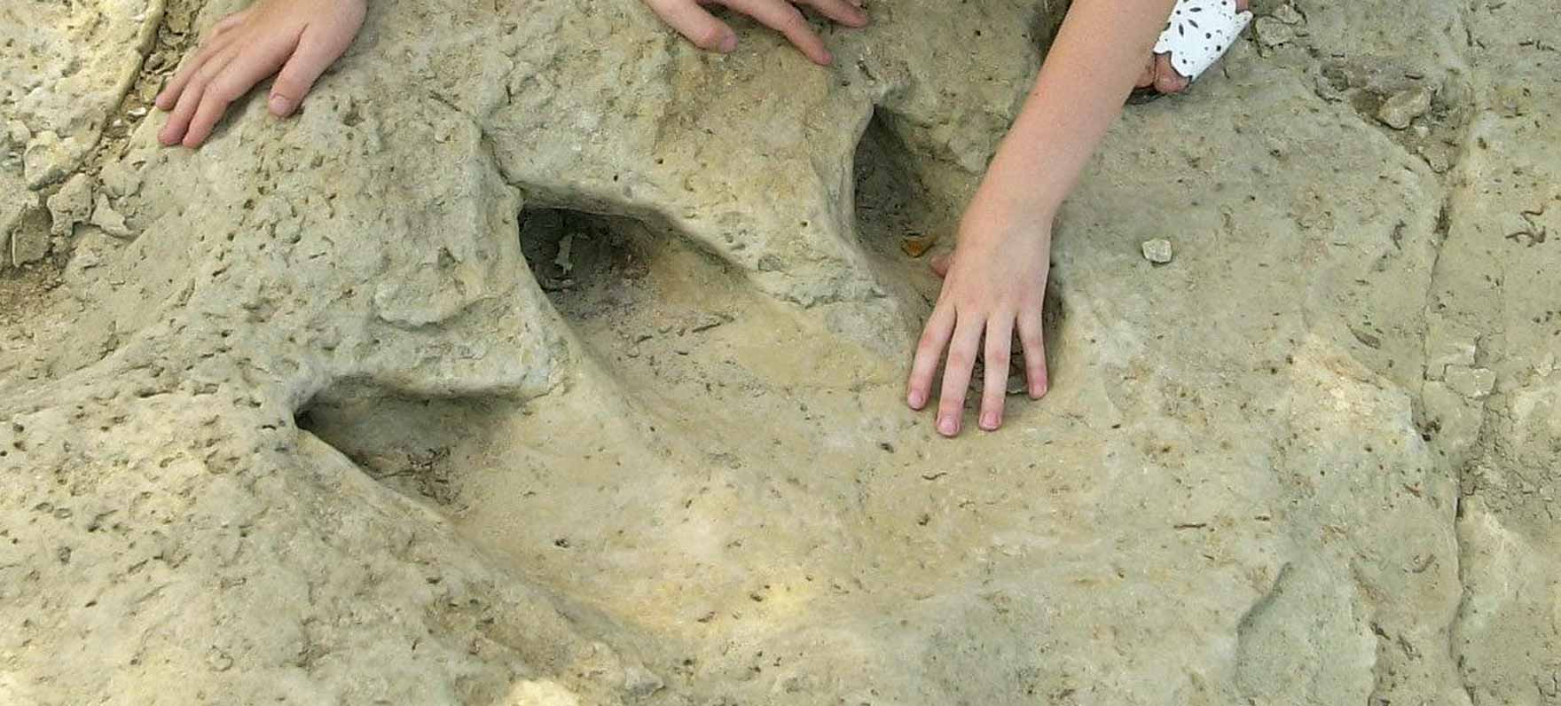 Dinosaur Footprint at Dinosaur Valley State Park