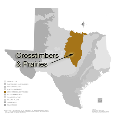 Cross-timbers Eco-region