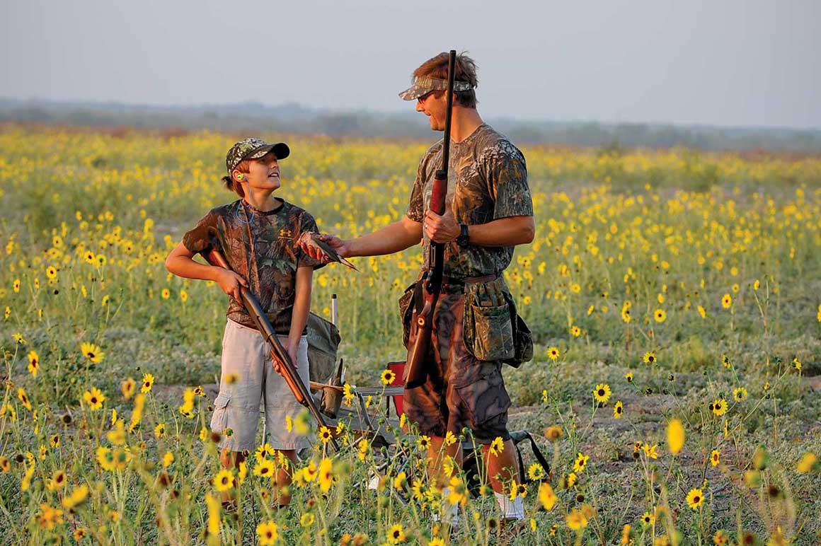 Dove hunting in Texas