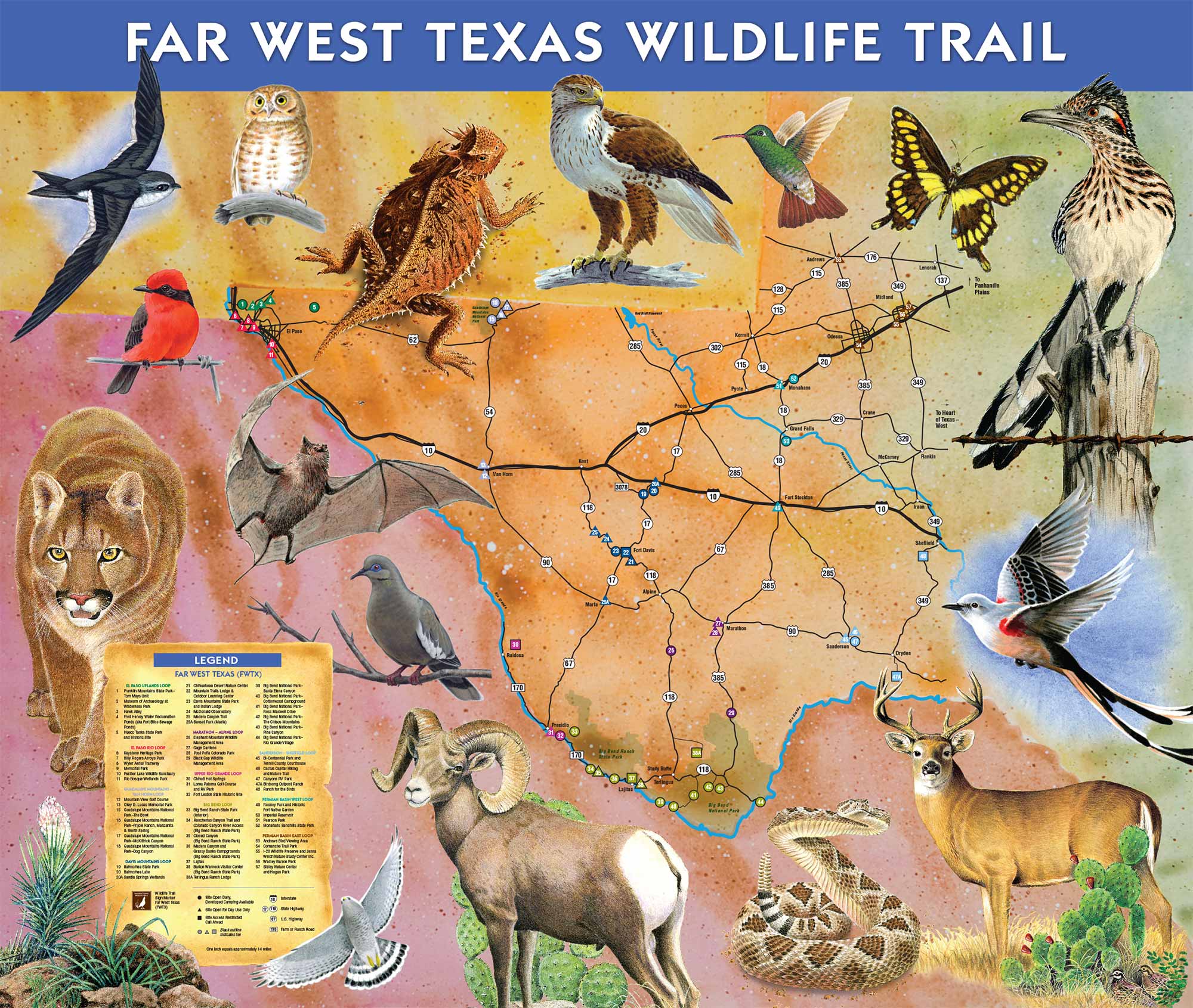Far West Texas Wildlife Trail map