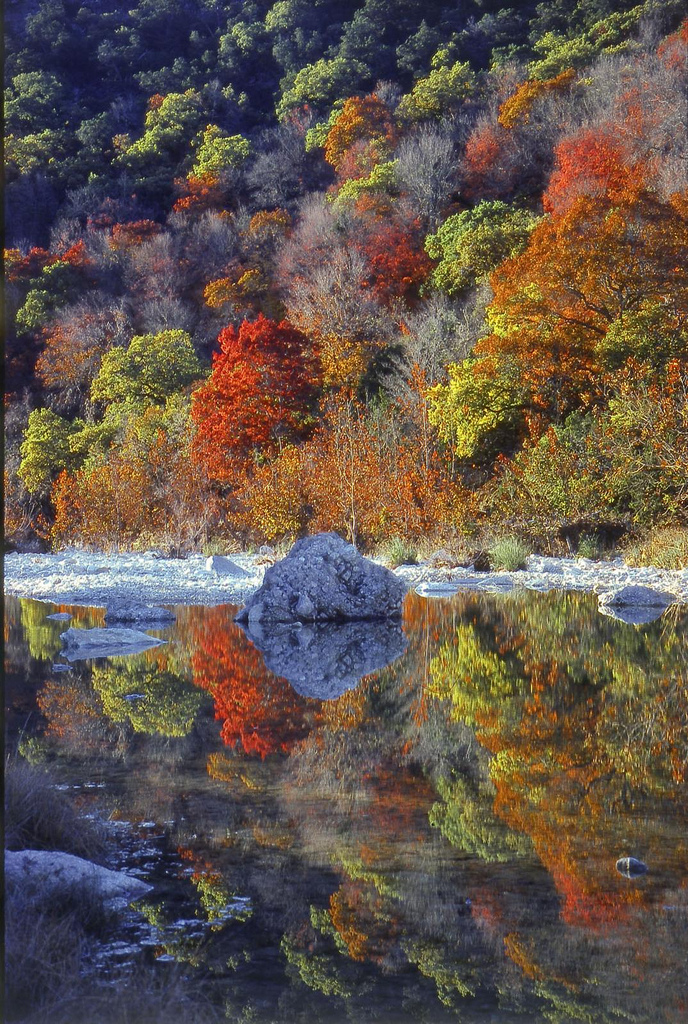 Fall Color at Lost Maples State Natural Area