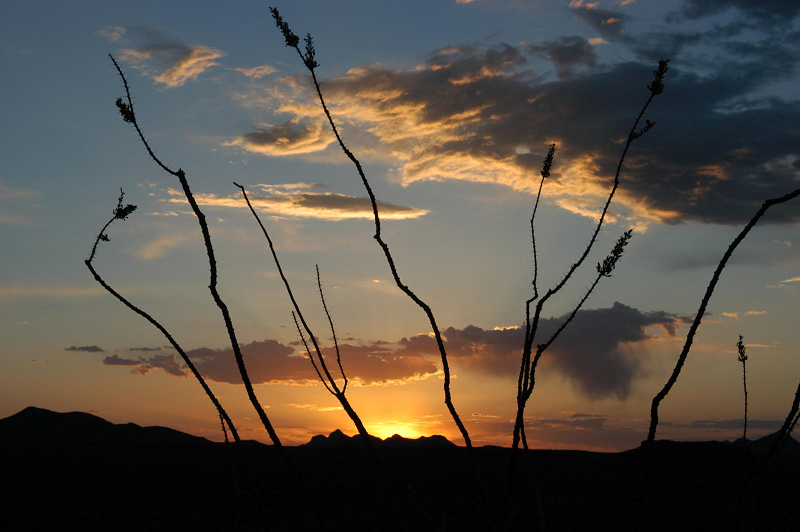 Sunset at Big Bend Ranch State Park