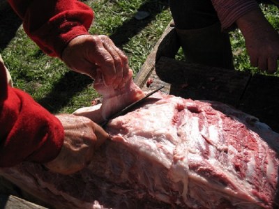 Processing a hog as they would have done in 1850s Texas, at  Barrington Living History Farm