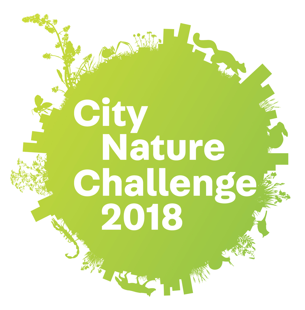 city-nature-logo-2018